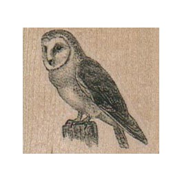 Stempelplatte