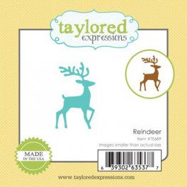 Motivstempel Beautiful Mind A5