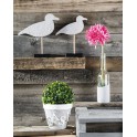 Easy Beton Farbe 100ml