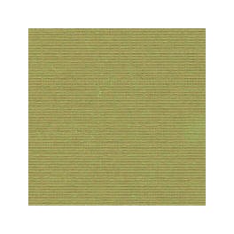 Cardstock 12"x12" Safari