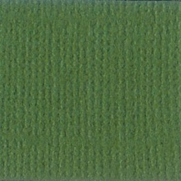 Cardstock 12"x12" Rain Forest