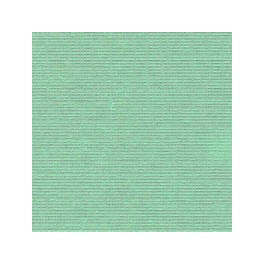 Cardstock 12"x12" Tropical Essence