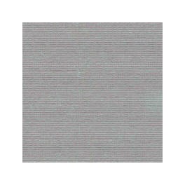 Cardstock 12"x12" Hurricane