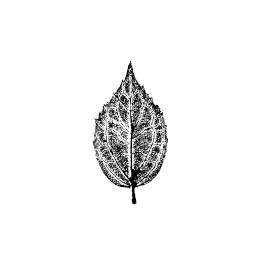 Motivstempel "Fjäril"