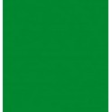 Tafelmalfarbe dunkelgrün
