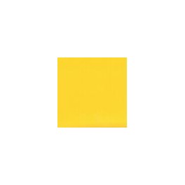 Cardstock 12"x12" Sunshine Yellow