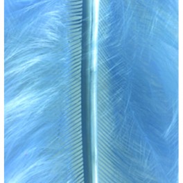 Marabufedern hellblau
