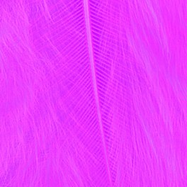 Marabufedern pink