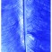 Marabufedern blau
