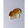 Motivstempel "Bunnies"