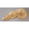 Strohhut naturhell 6,5cm