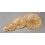 Strohhut naturhell 11,5cm