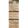 Stempel Clear Summer at the Beach 104