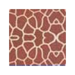 Color-Dekor 180° Giraffe