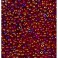 Rocailles 2,6mm irisierend bordeaux regenbogen