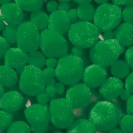 Pompoms bunt sortiert