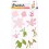 Stempel Clear Summer at the Beach 104