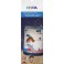 Kindertattoos Fantasie und Entdecker