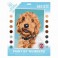 Mini-Kreativset, , Modellieren - Fingerpuppen