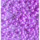 Rocailles 3,5mm opak rosa