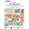 Stempel Clear Summer at the Beach 104