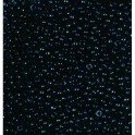 Rocailles 3,5mm opak schwarz