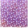 Piatek13 - Papier 12" Hello Beautiful 01