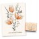 Stempel "Hase Pelle"