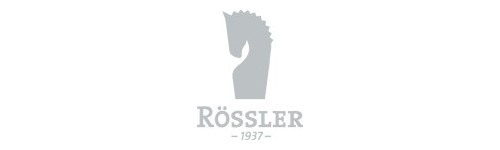 Rössler Twin Paper