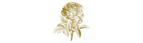 Couture Creations GoPress and Foil Laminierstempel